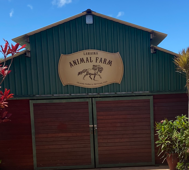 lahaina-animal-farm-petting-zoo-photo